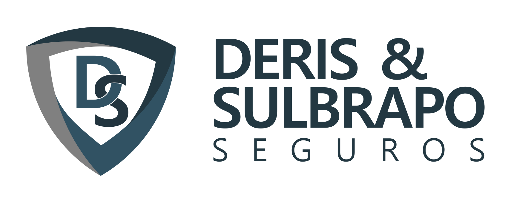 Seguros DS